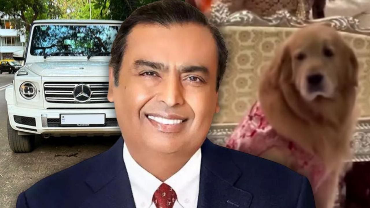 Mukesh Ambani dog's luxurious life.