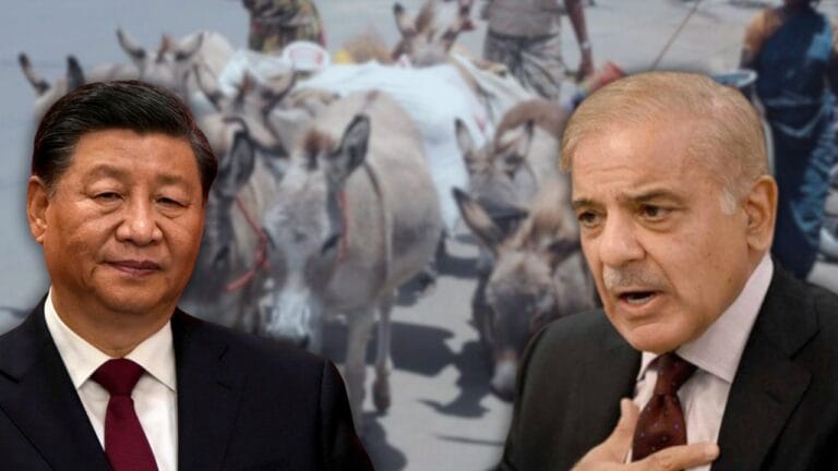 Pakistan completed preparations to sell donkeys to China.