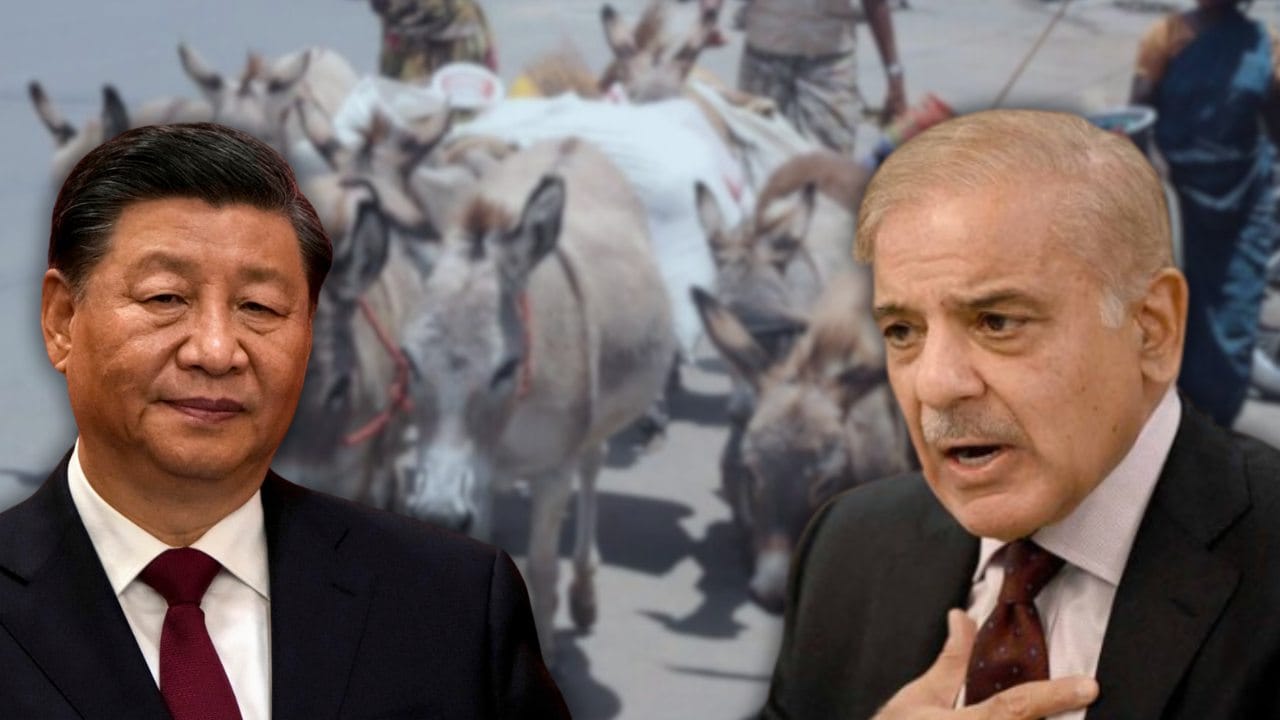 Pakistan completed preparations to sell donkeys to China.