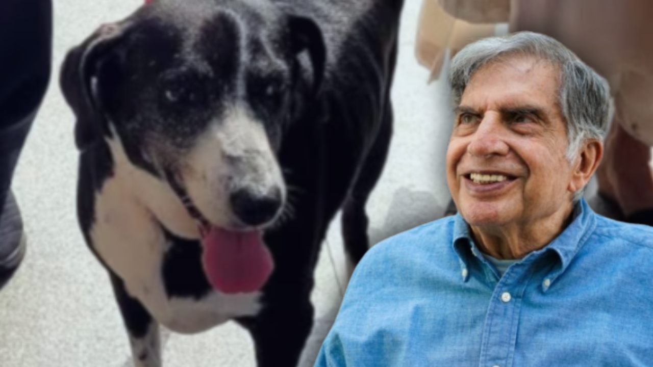 Ratan Tata pet goa dies.