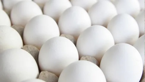 2.31 lakh eggs were exported to Bangladesh.