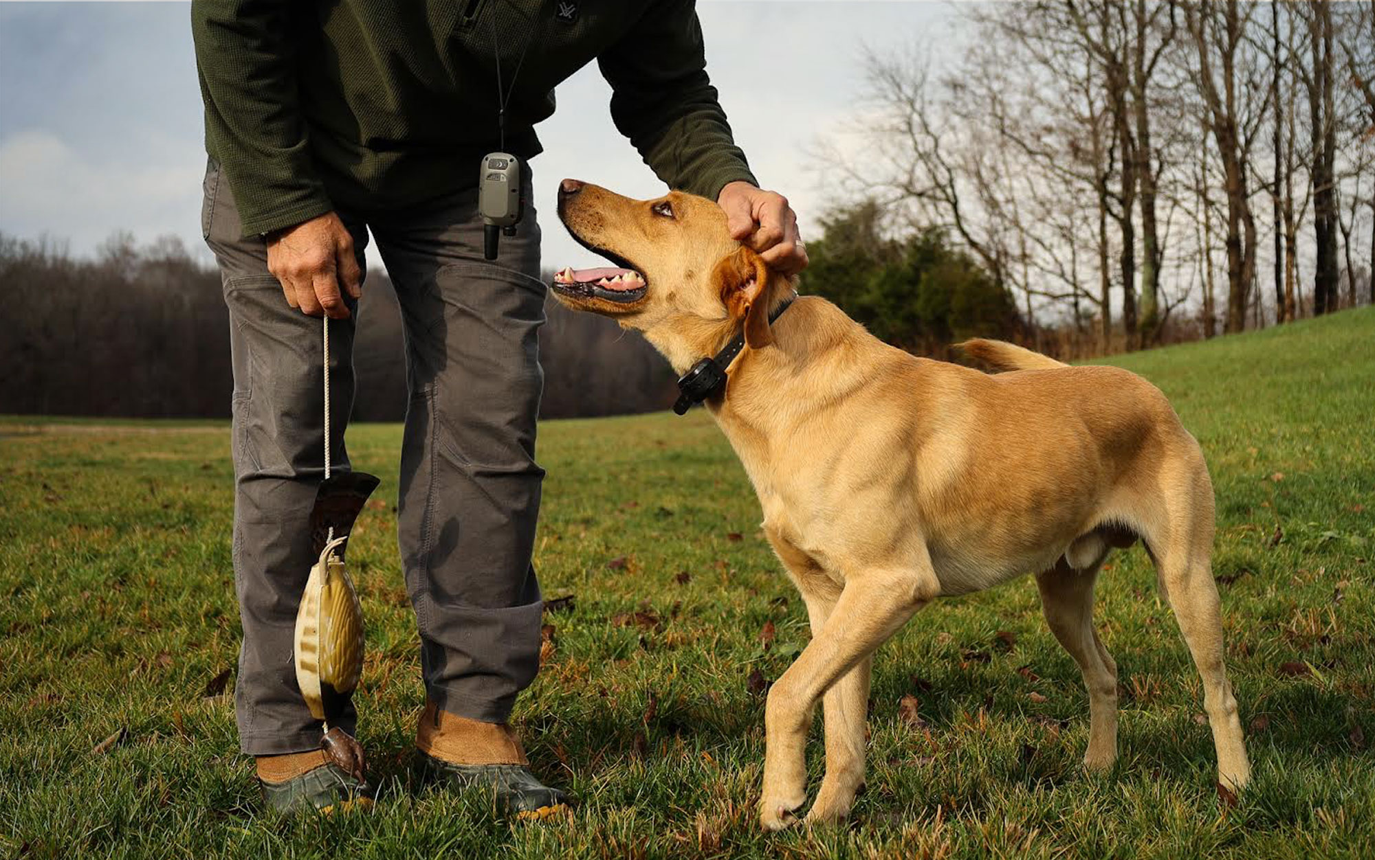 Dog Trainer