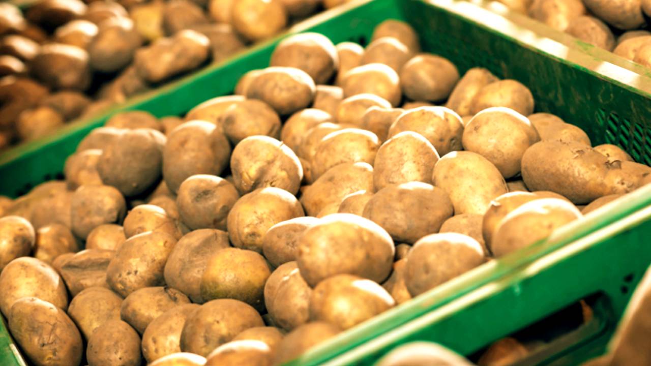 Government of West Bengal decision over potato storage