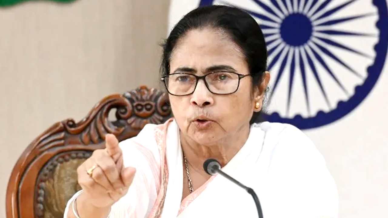 Mamata 1