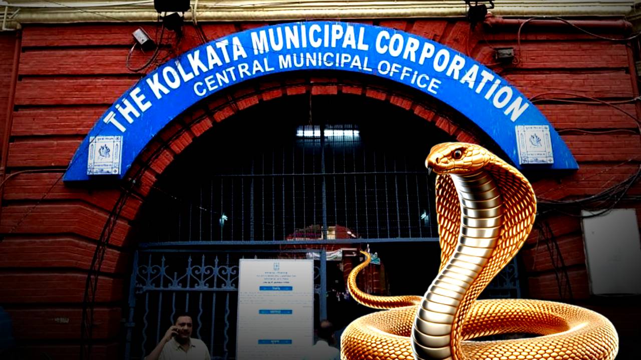 Snake seen again in Kolkata Municipal Corporation panic situation there