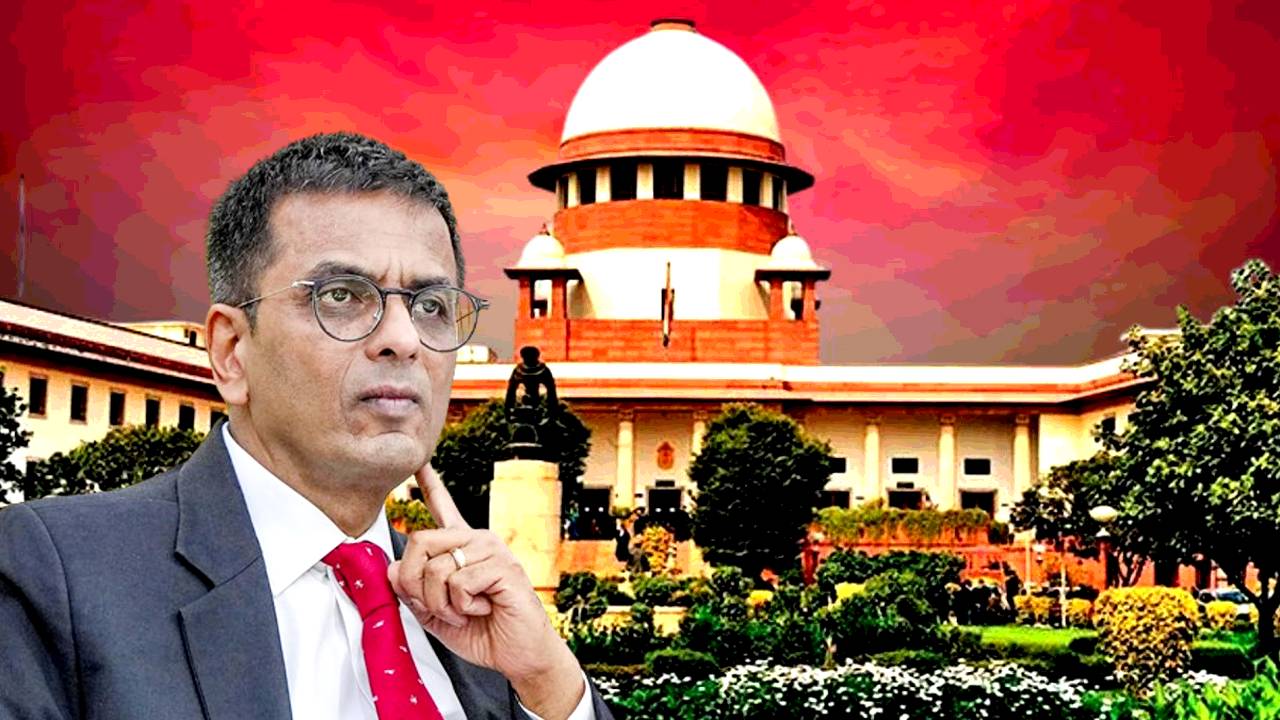 What work can CJI DY Chandrachud do after retirement as Supreme Court judge