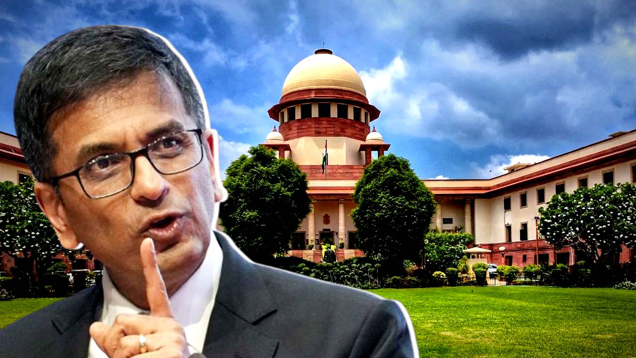 who trolled me will be unemployed says CJI DY Chandrachud before retirement as Supreme Court Judge