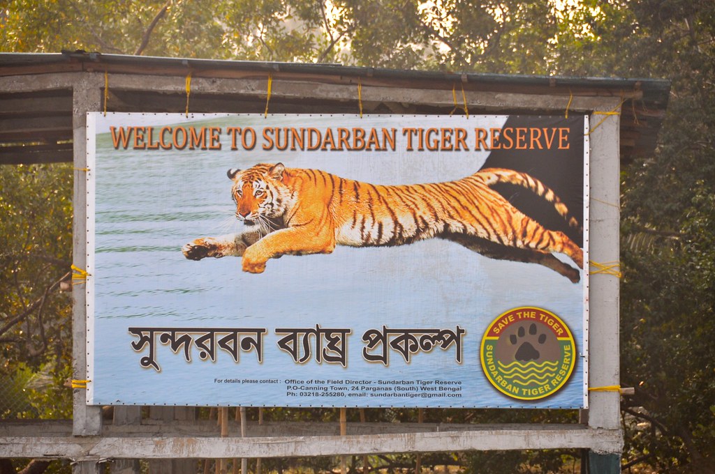 Sundarban 