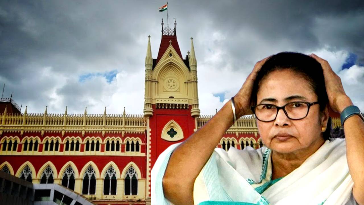 Calcutta High Court Division Bench gives permission for doctors sit in protest in Dharmatala