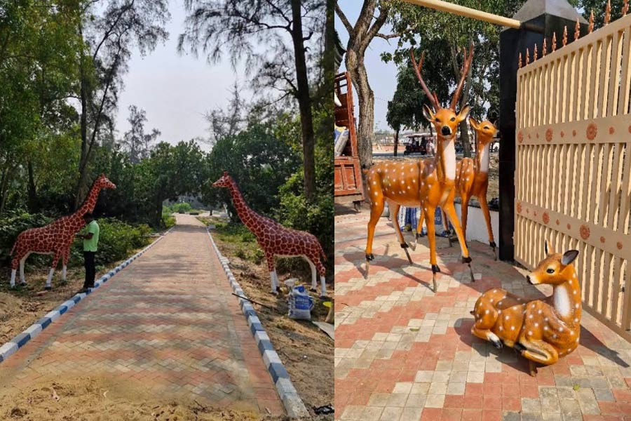 Digha nature park