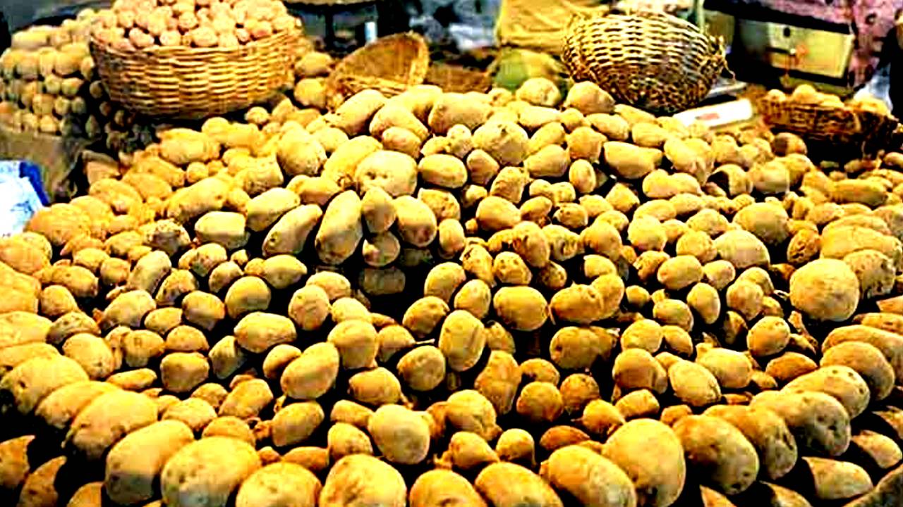 Government of West Bengal found potato price hike reason