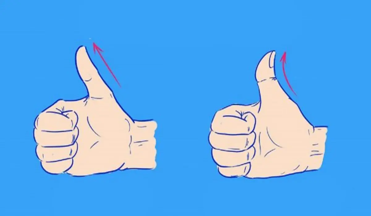 Is Your Thumb Straight or Curved Heres What it Can Tell You About Your Personality