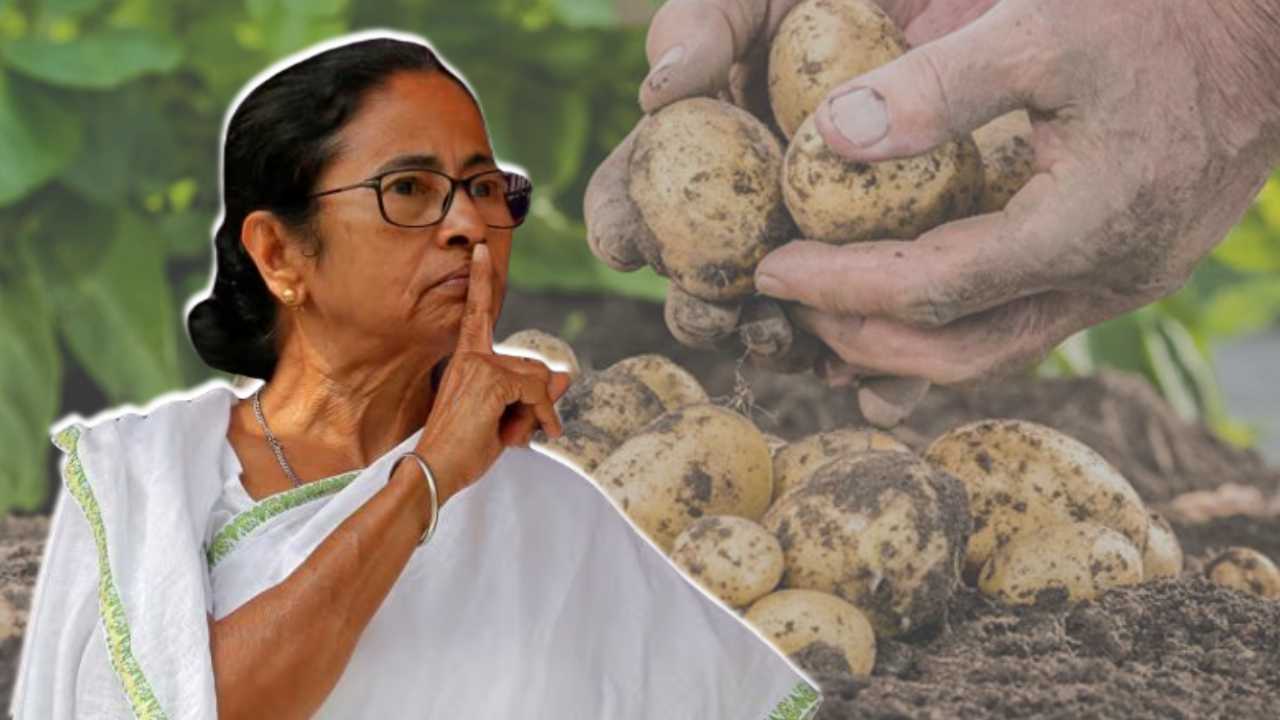 Mamata Banerjee