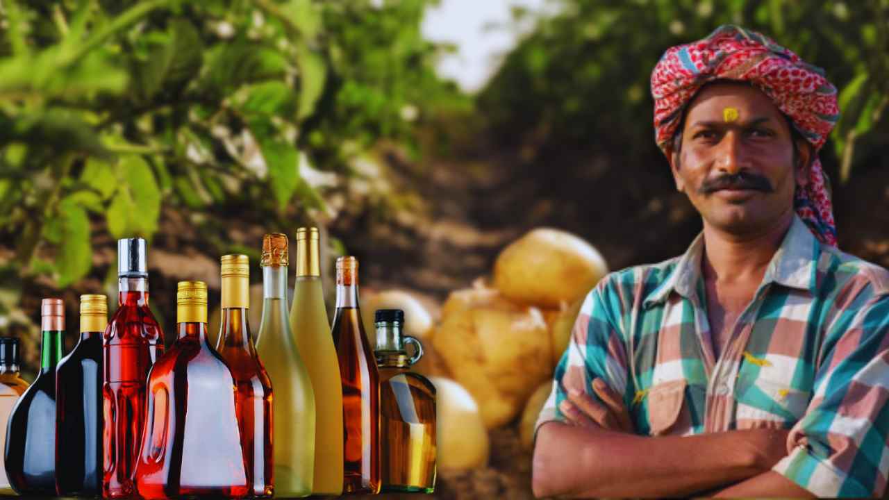 Only this reason why farmers are using alcohol to grow potatoes