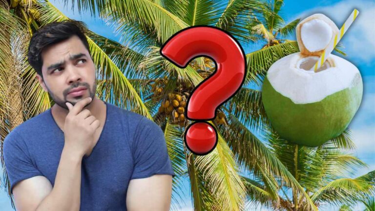 Do you know how to coconut water comes from