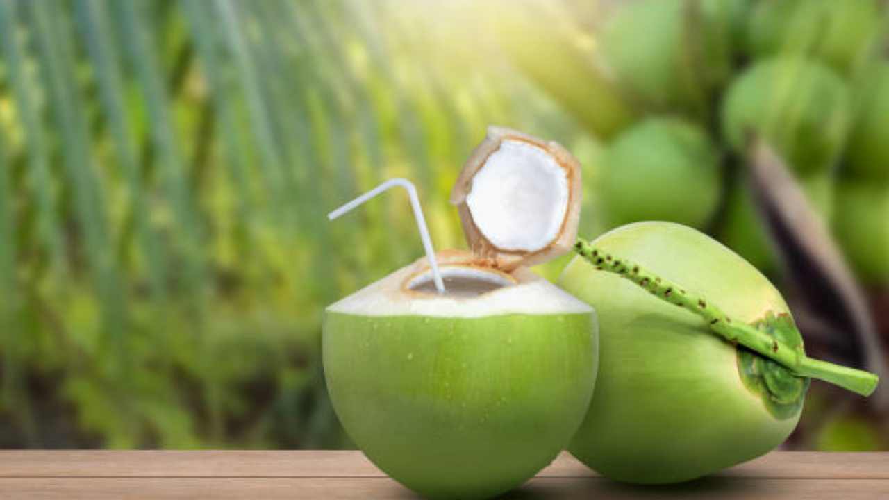 Do you know how to coconut water comes from