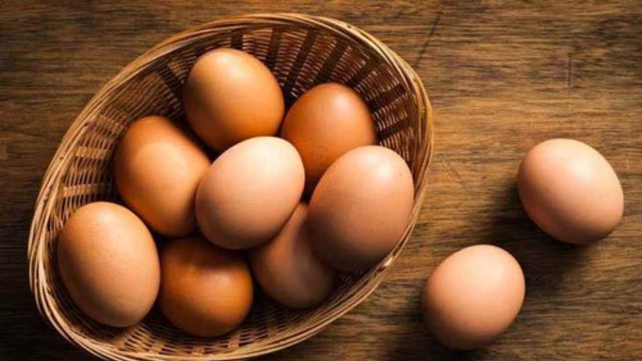 Egg blood spot good or bad on our health