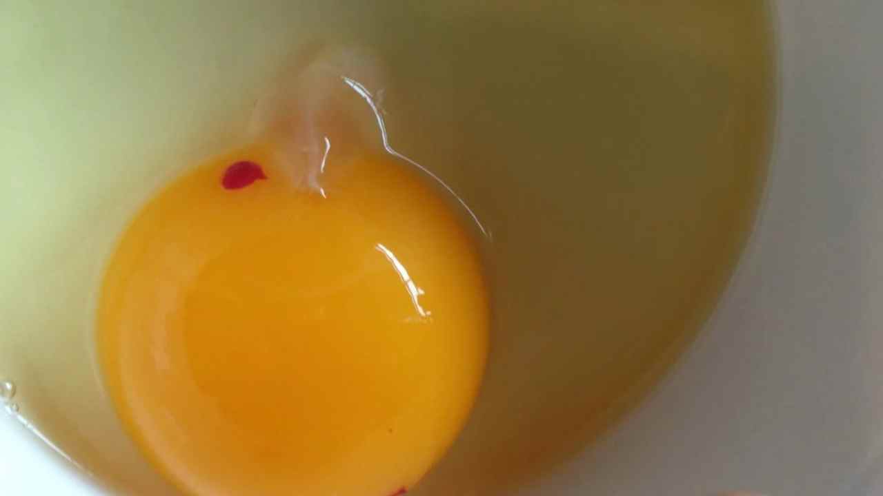 Egg blood spot good or bad on our health