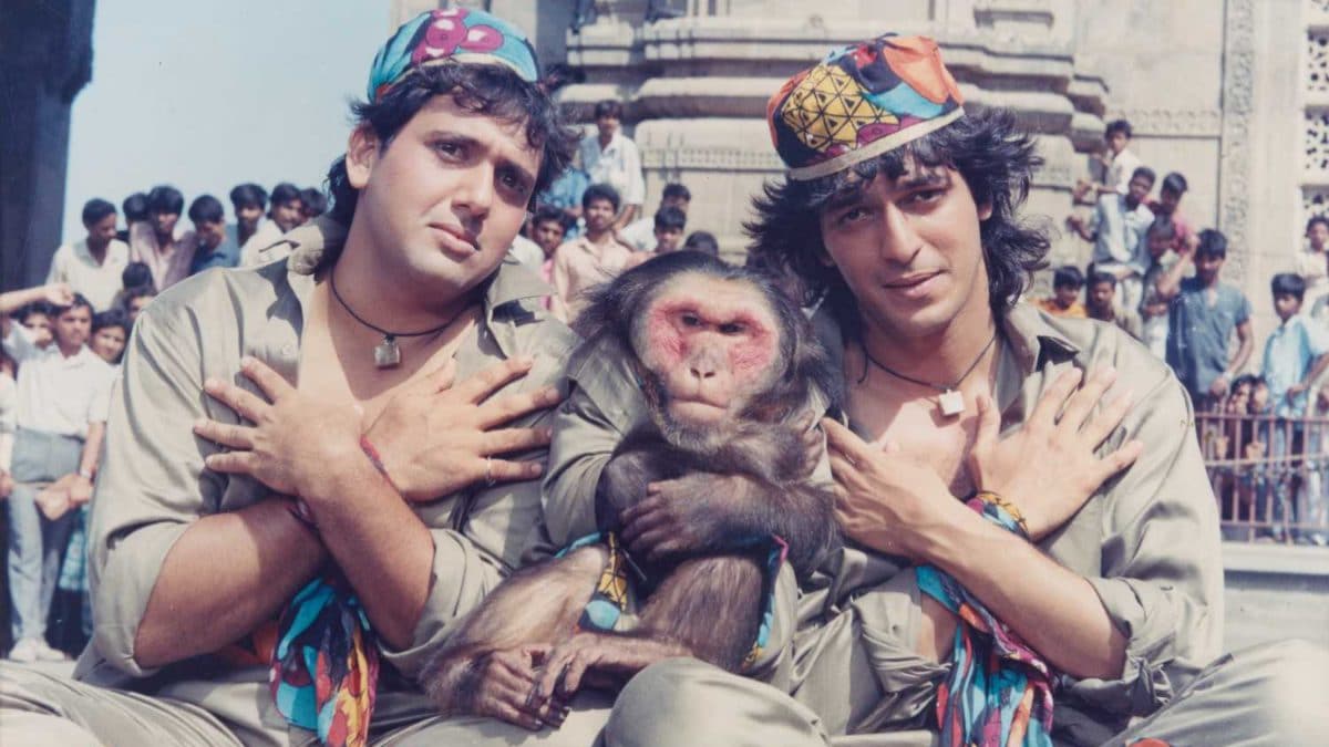 This monkey was paid more than govinda