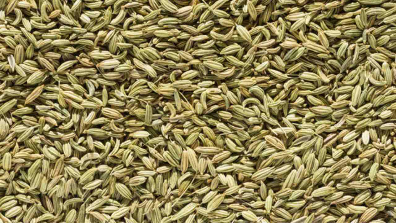 Benefits of fennel seeds water on your health 