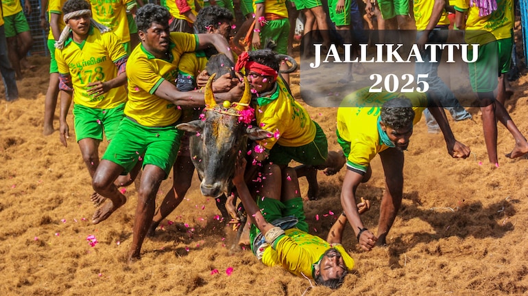 Jallikattu dead 7 people and injured 400