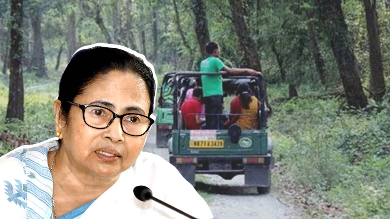 Mamata Banerjee