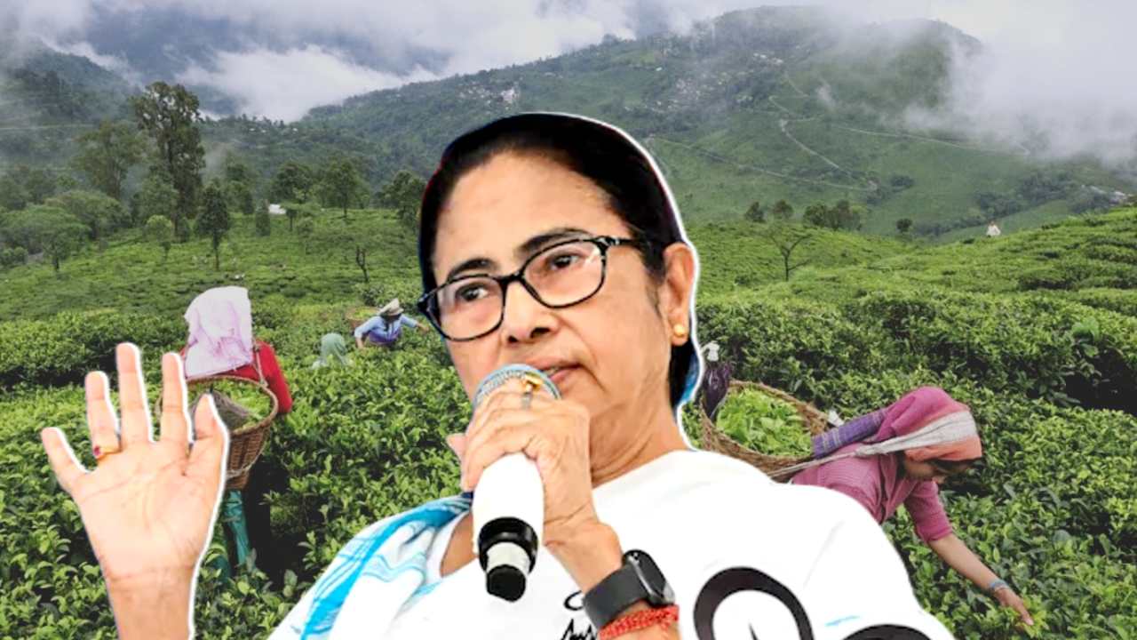 Mamata Banerjee