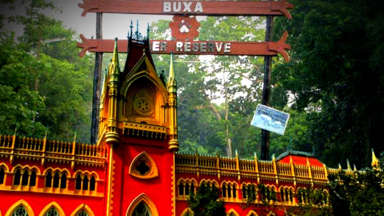 Calcutta High Court Buxa Tiger Reserve