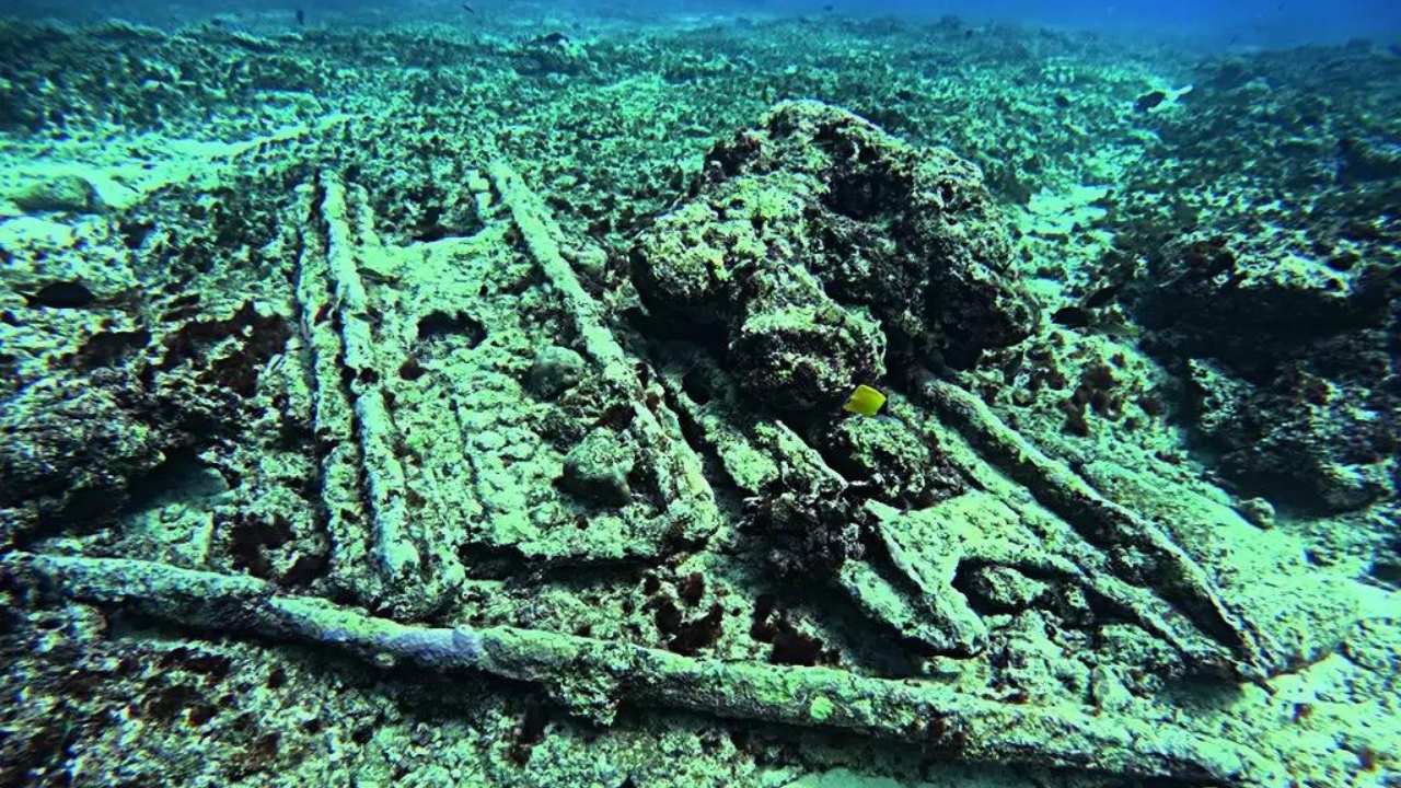 What is found in the sea of ​​Lakshadweep?