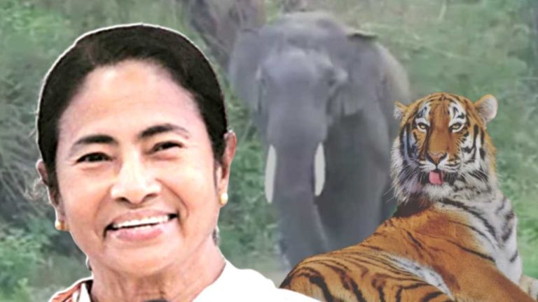 Mamata Banerjee