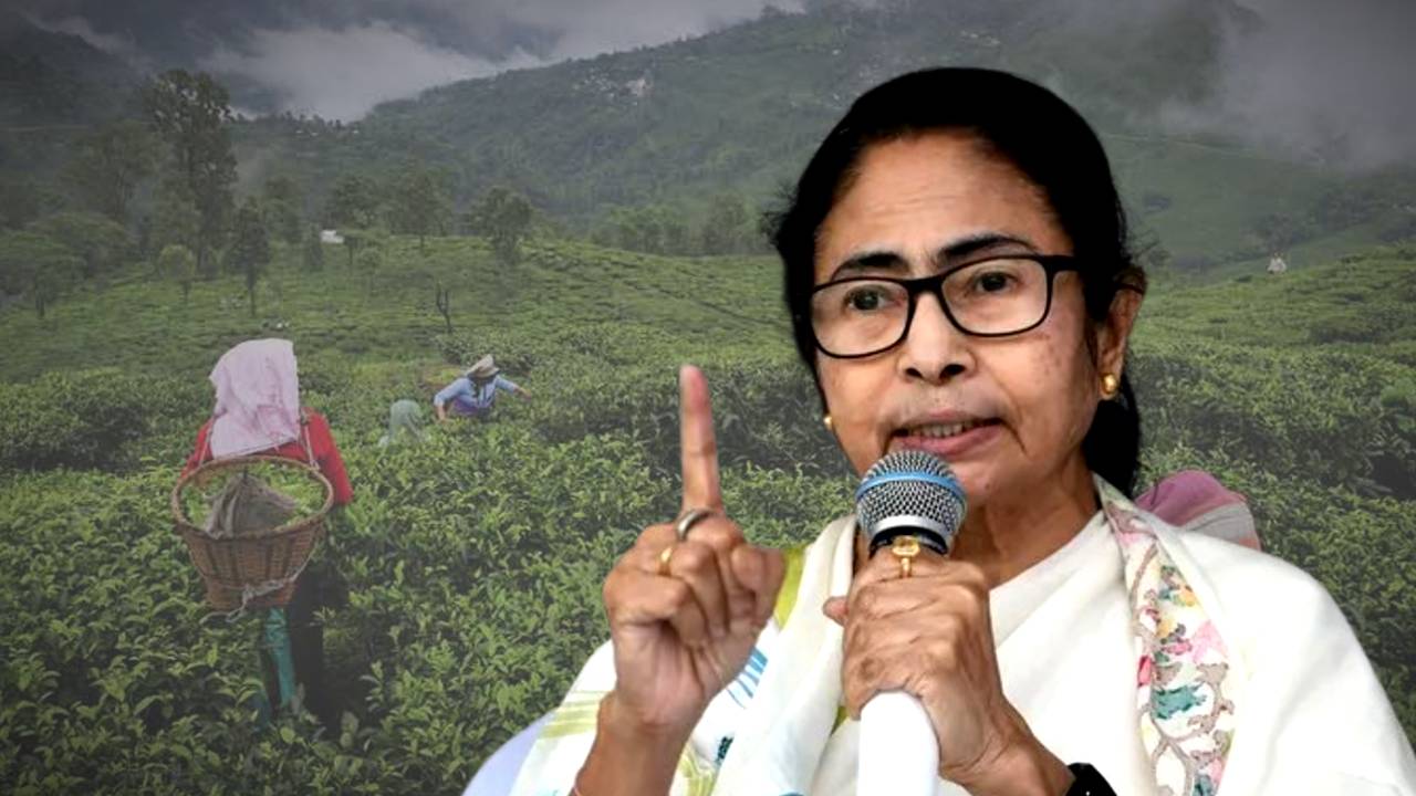 West Bengal CM Mamata Banerjee direction about Darjeeling tea Nepal tea