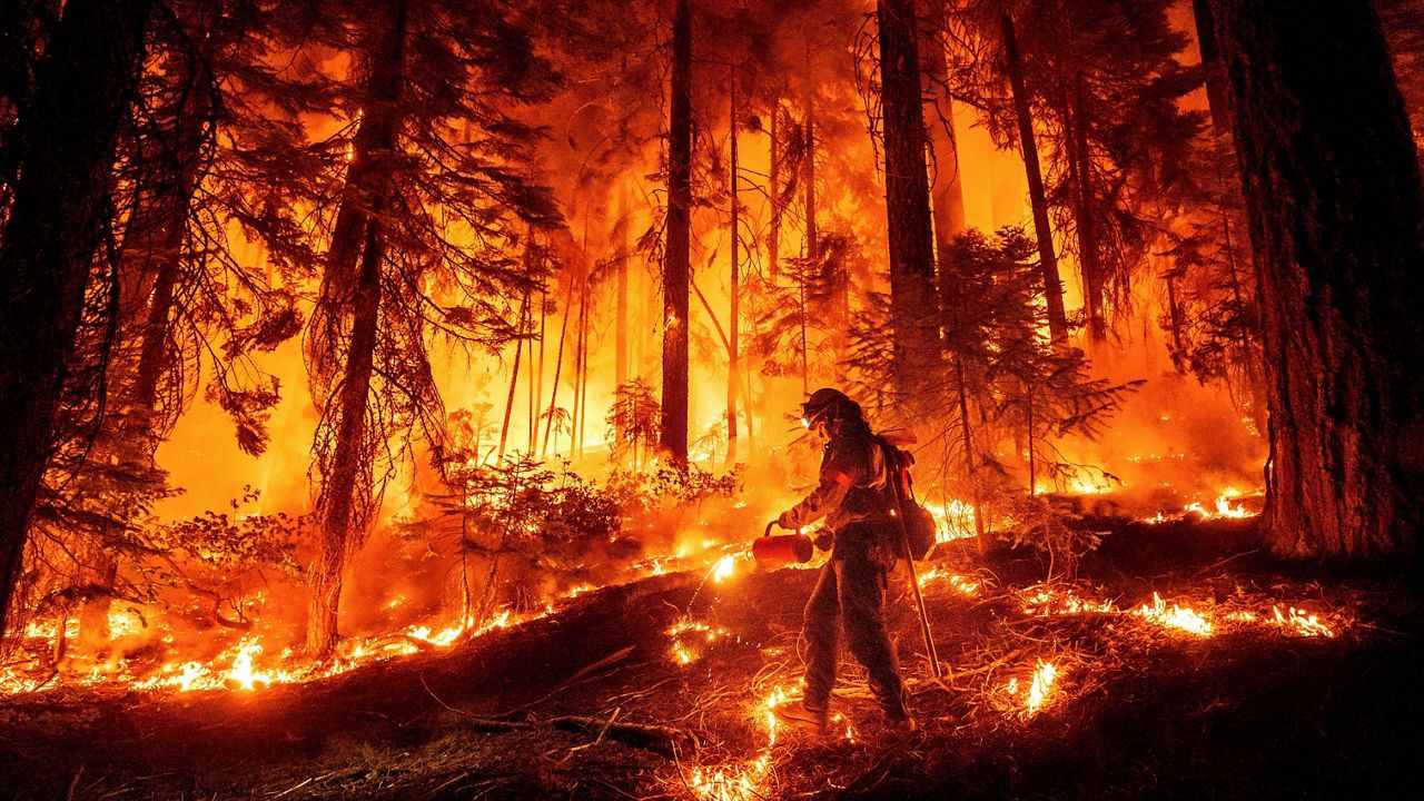 Severe damage for wildfire in America 