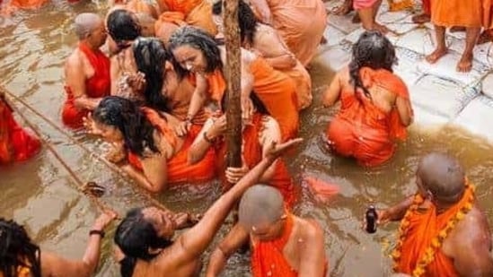 Maha Kumbh women bath and Journalist case