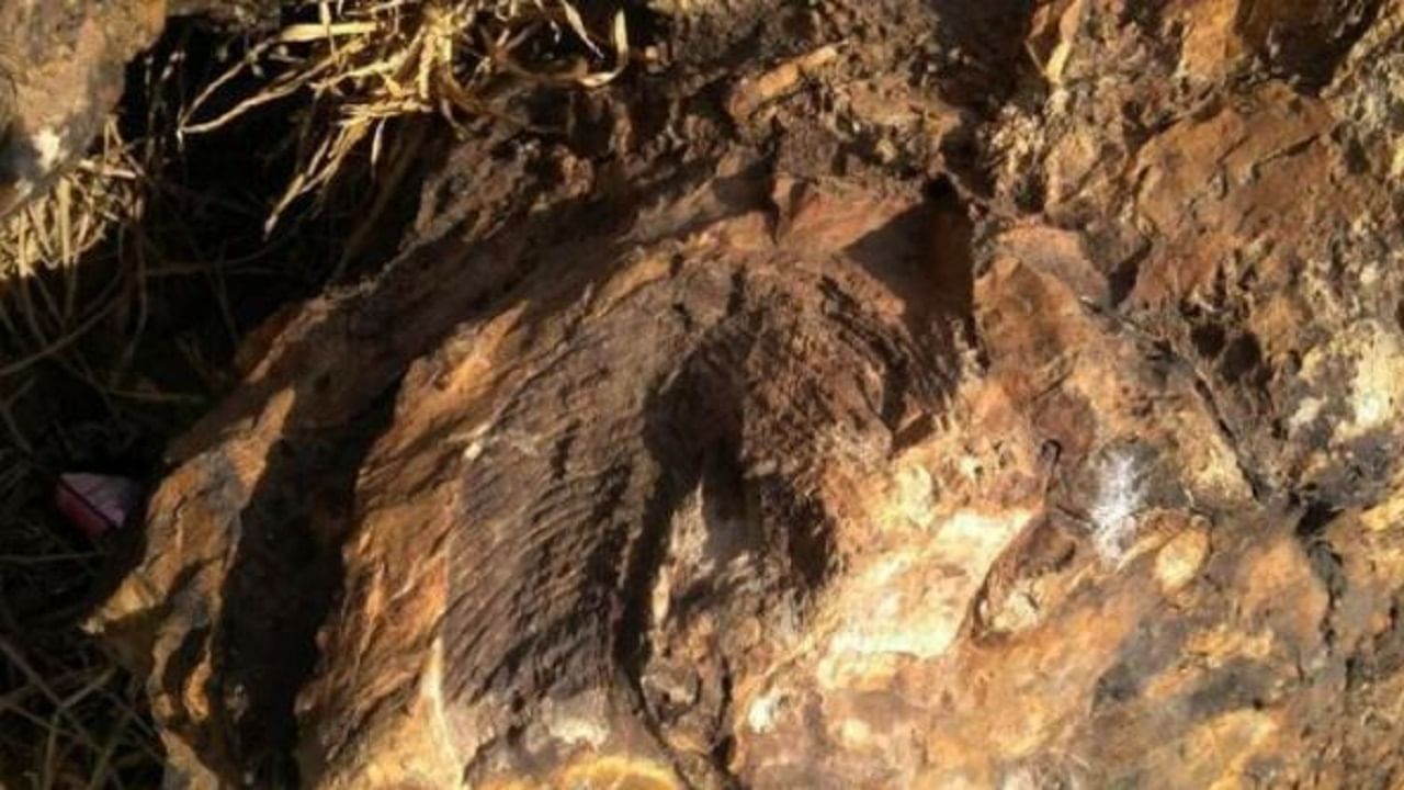 India geological scientists found hidden treasure in this state 