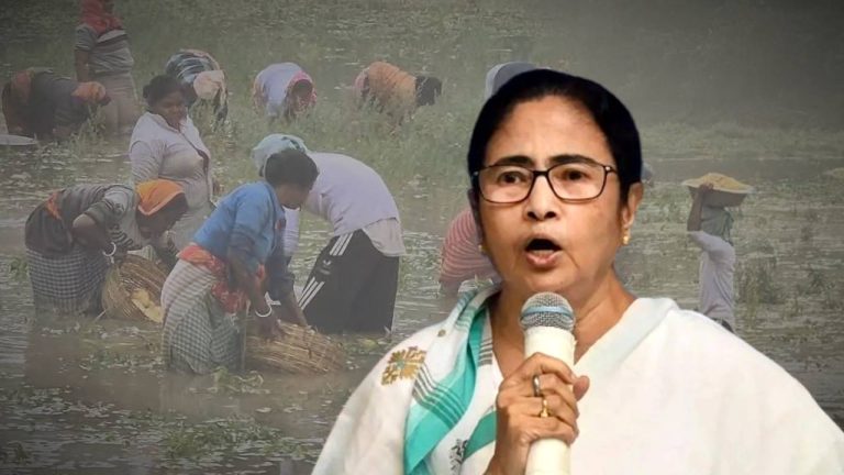 Potato farmers in distress Government of West Bengal big decision