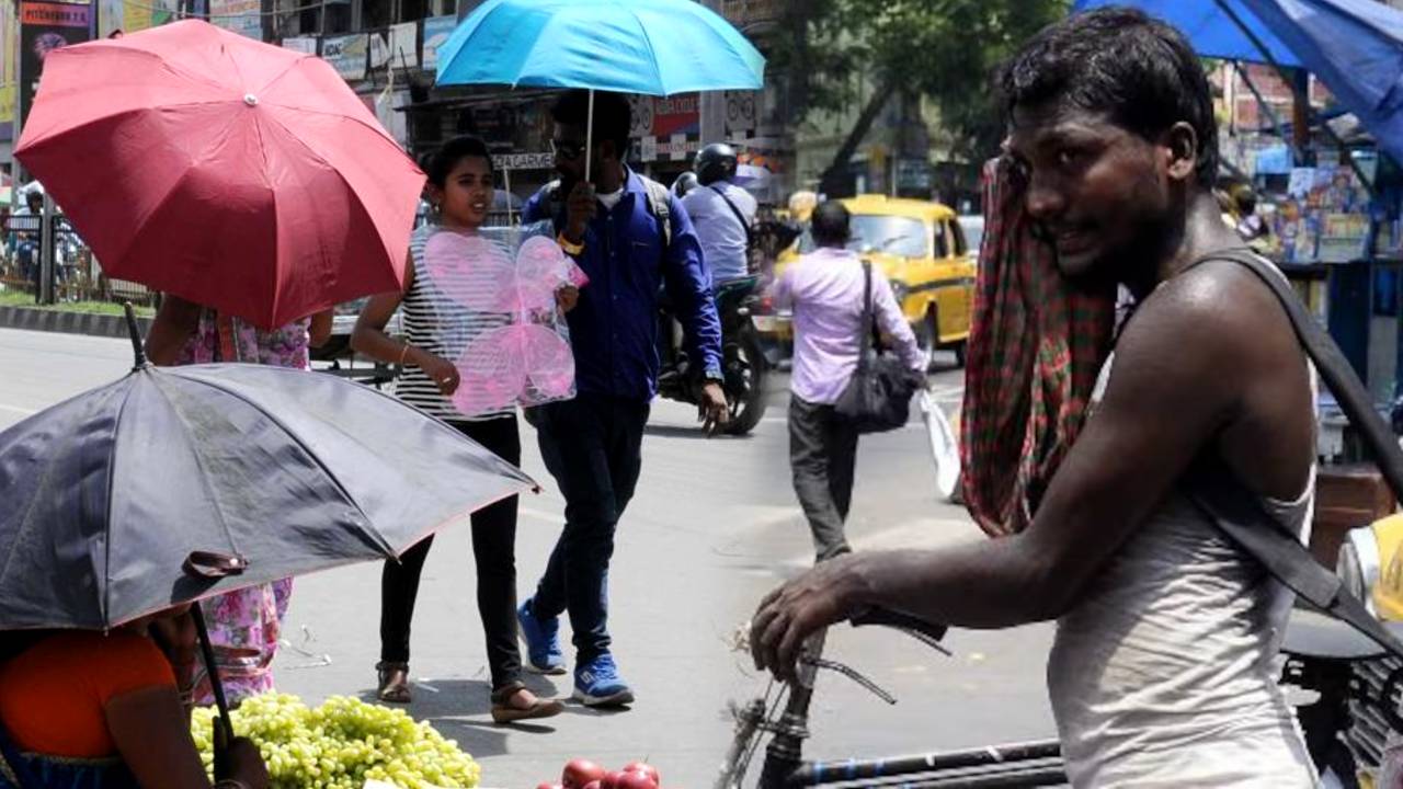 Heat wave situation in many state South Bengal weather Kolkata North Bengal West Bengal weather update