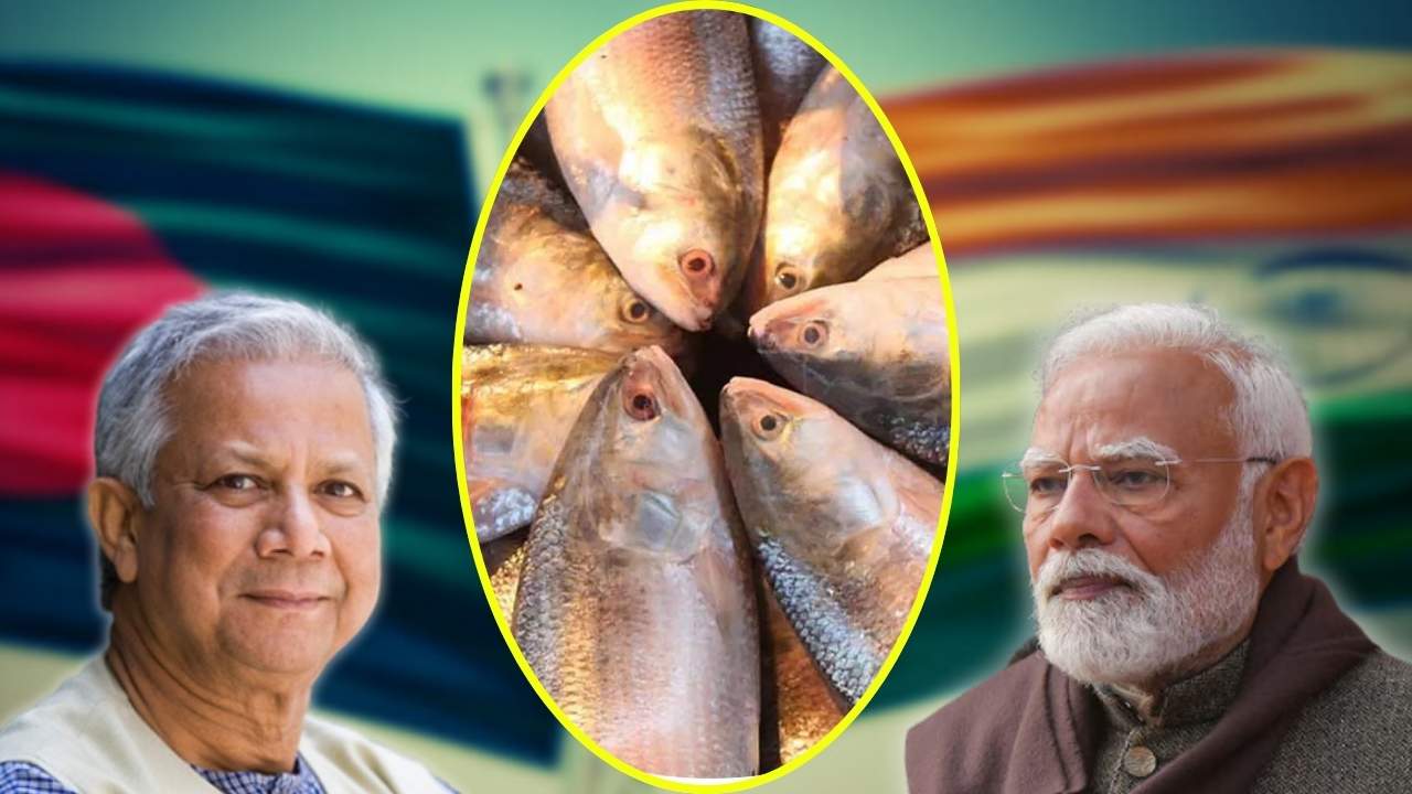 India-Bangladesh ilish import update.