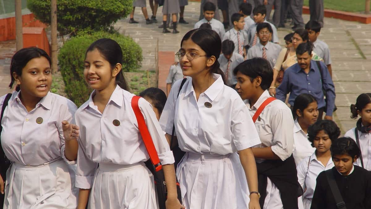Online class will go on during summer vacation in school 