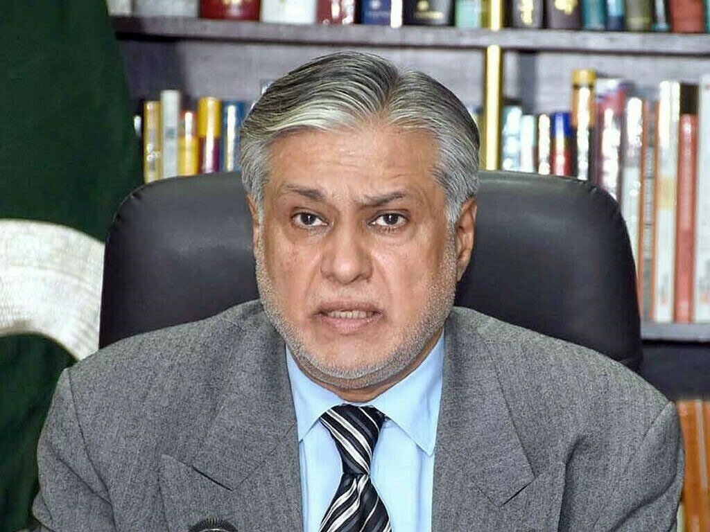 What did Pakistan's Foreign Minister say about India.