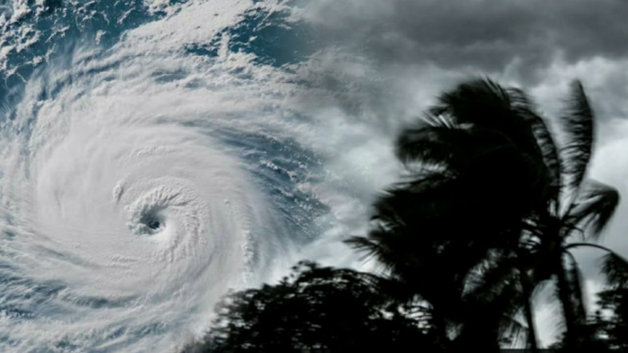 Cyclone shakti to gain power from tuesday