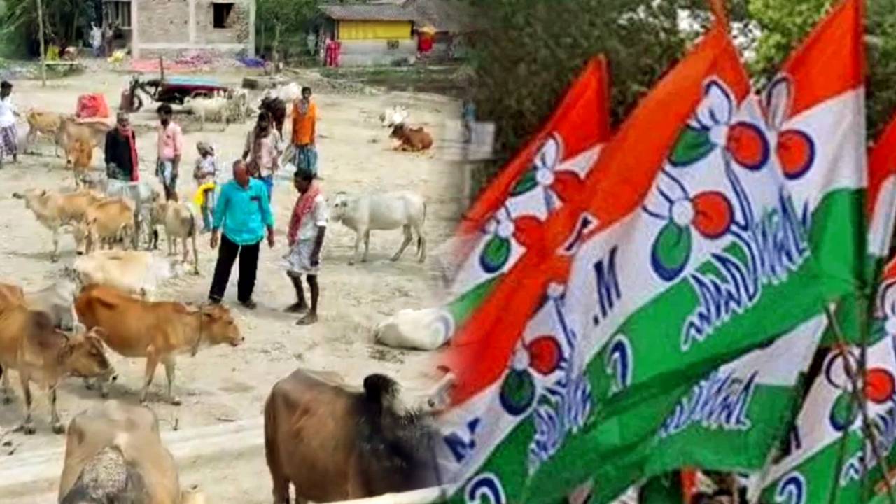 Alleged extortion in the name of Trinamool Congress managed Gram Panchayat