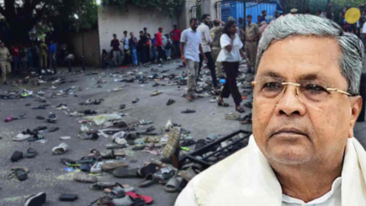 Bengaluru Stampede recent update.
