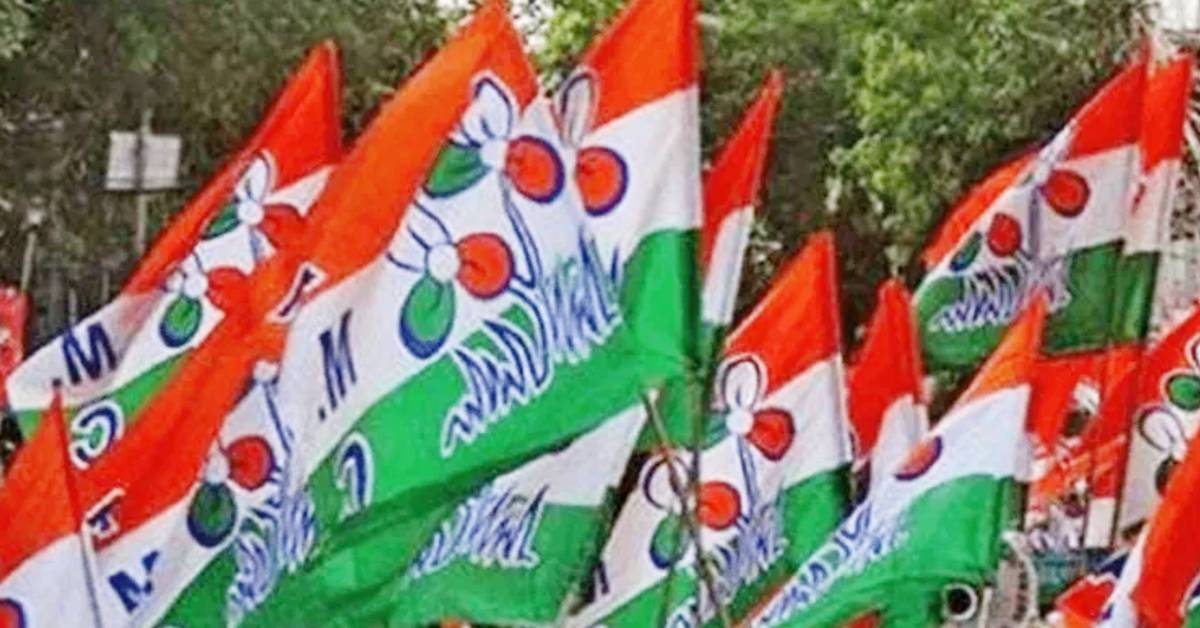 Trinamool Congress flags