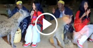Viral video shows hyenas taking meat from girl mouth watch