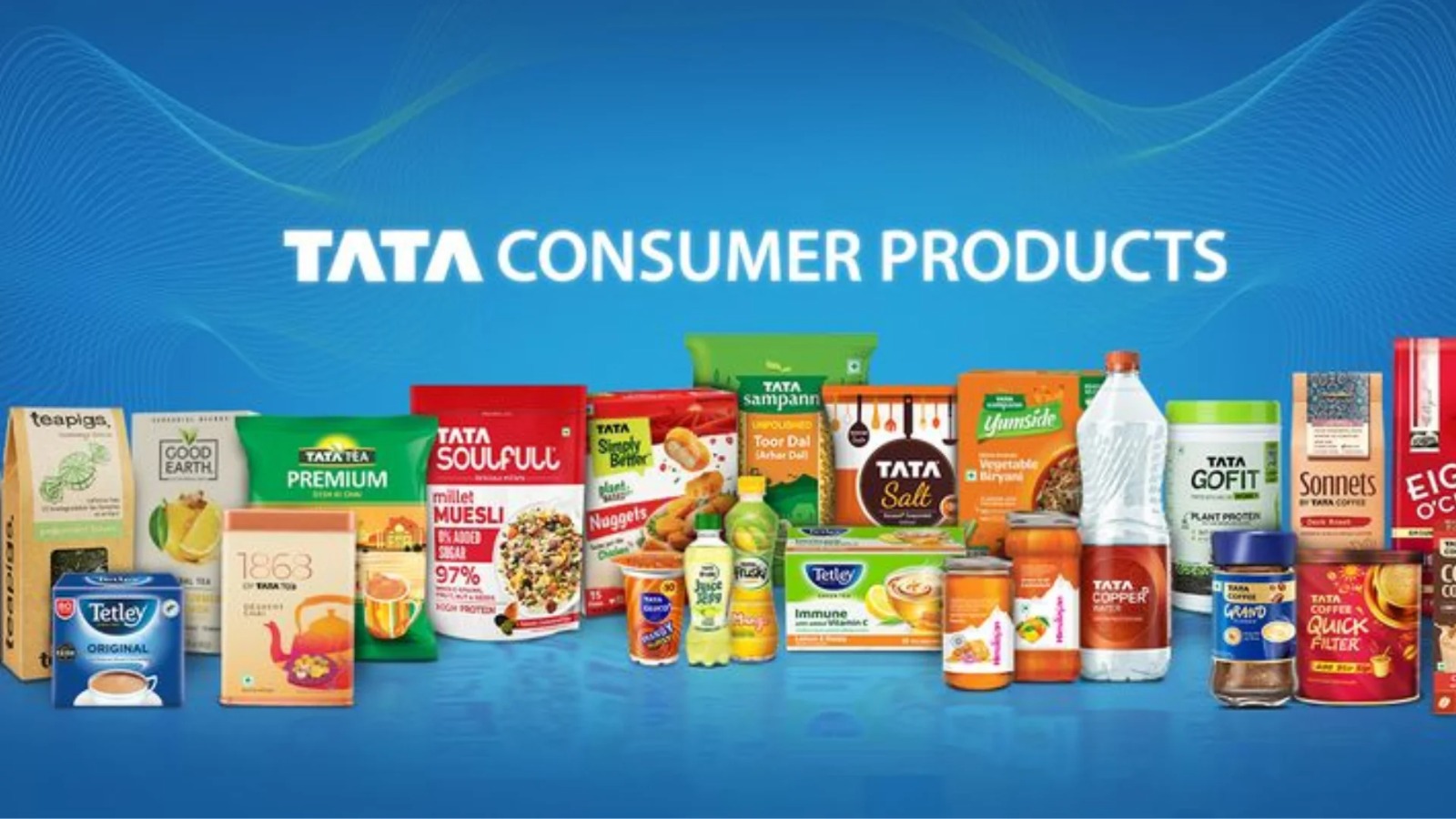 This share of Tata Group can perform well in share market.