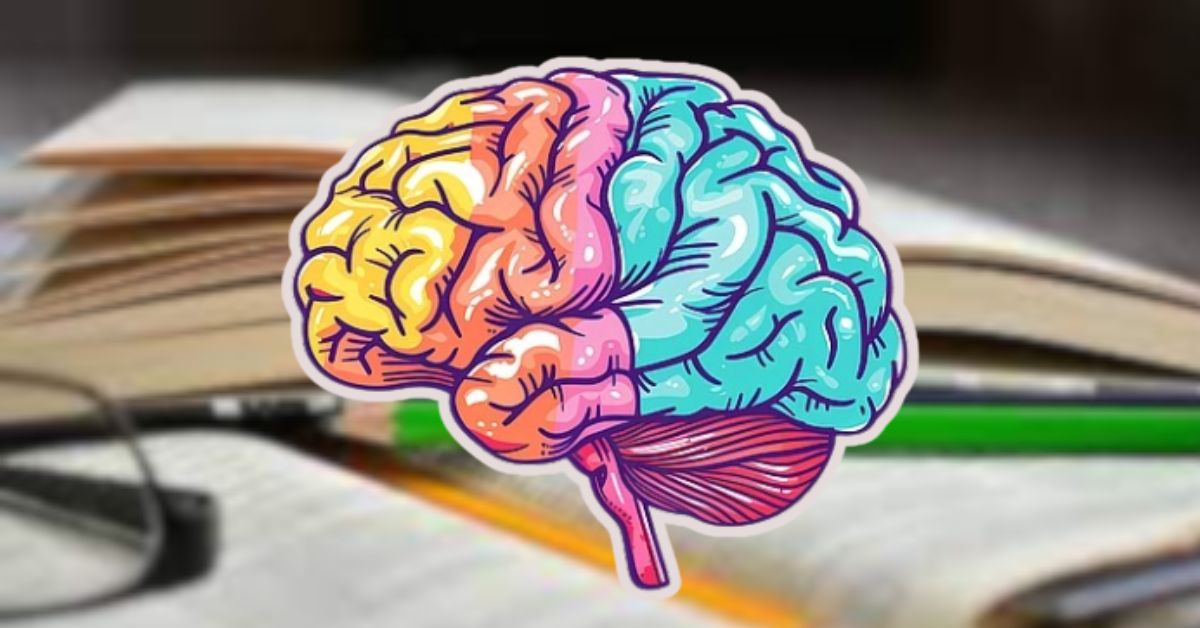 Health to know the strategies to increase your student brain function