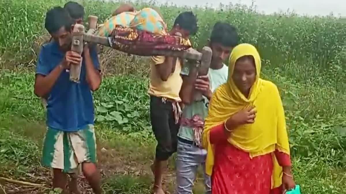 Pregnant woman taken to hospital carrying in bamboo strecher in murshidabad