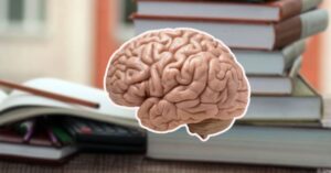 Health to know the strategies to increase your student brain function