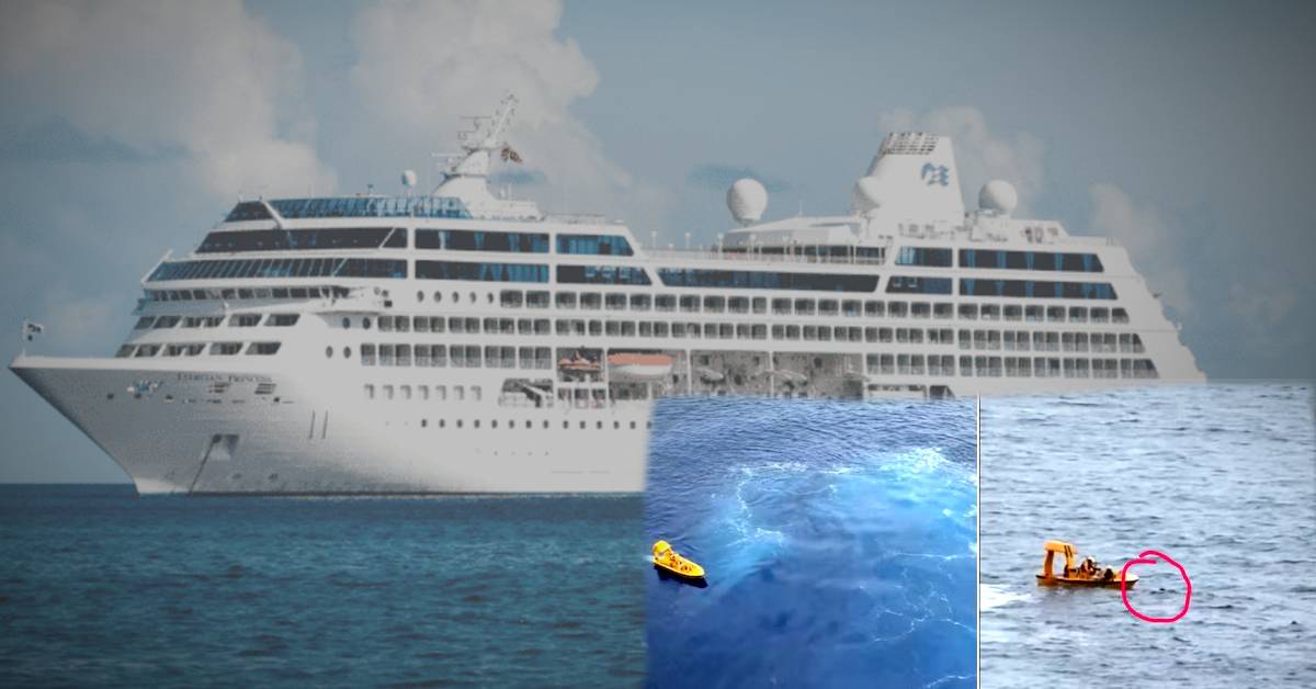 Five year old girl falls from disney cruiz ship in usa father jumps to save video goes viral