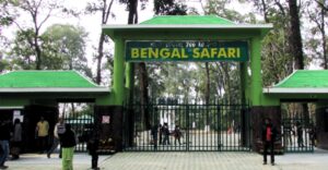 Bengal Safari Park will showcase 18 group of new animals